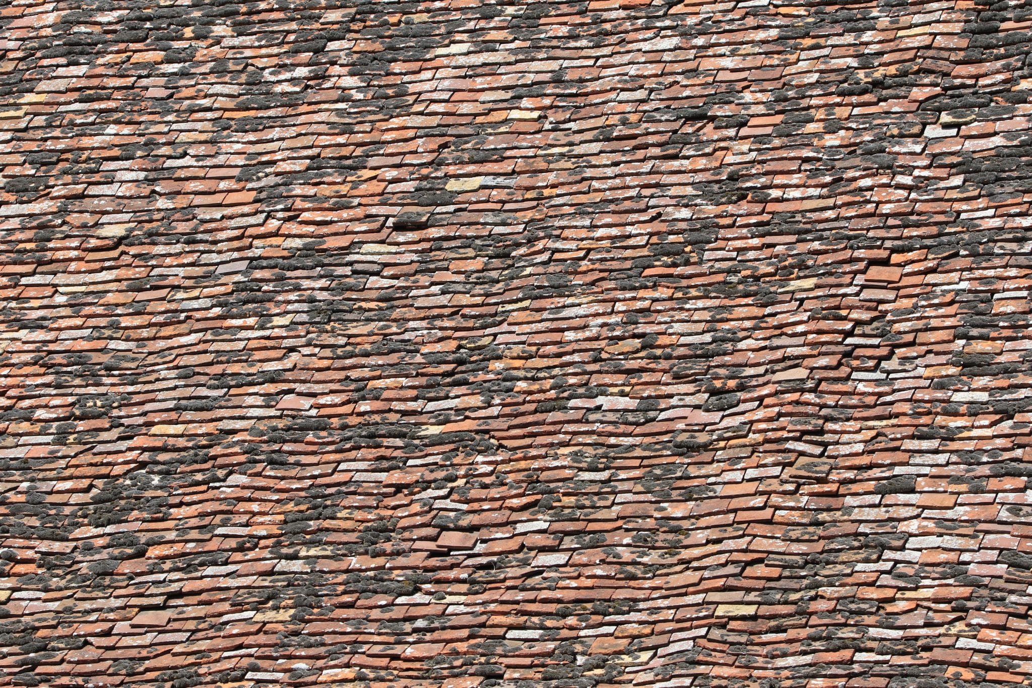 Quel est le meilleur produit naturel pour nettoyer les toitures