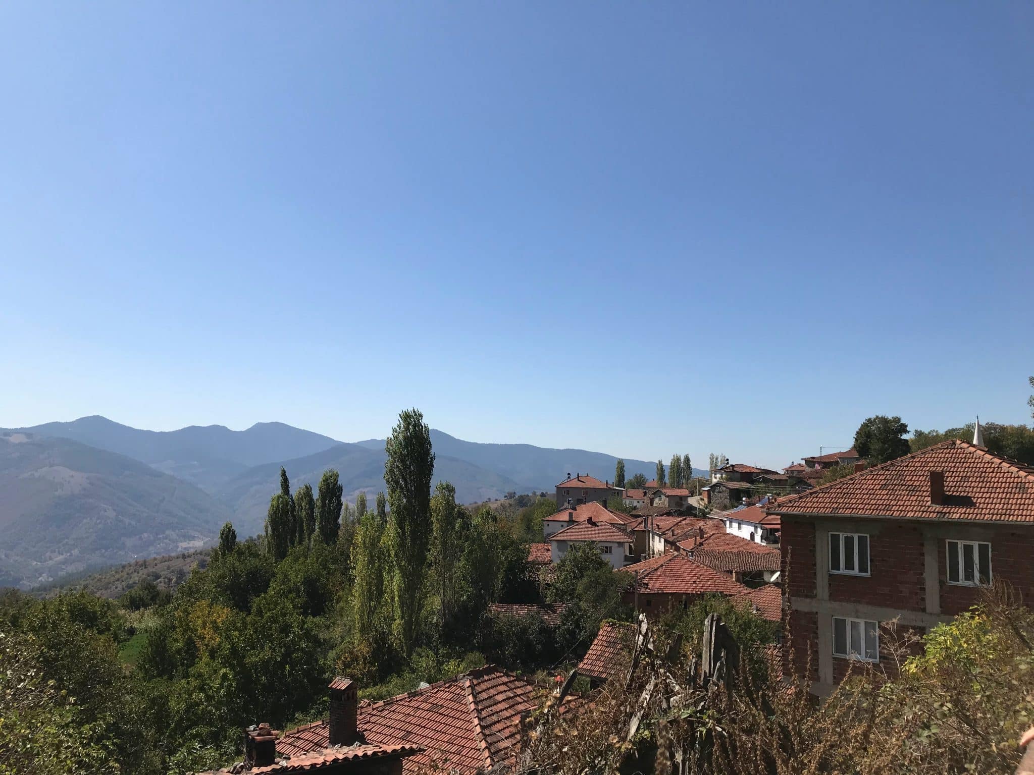 Comment utiliser un anti-mousse pour toiture